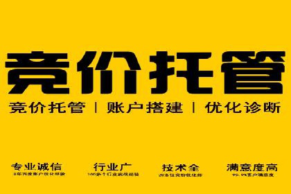 SEM外包在金融行业的应用案例分析